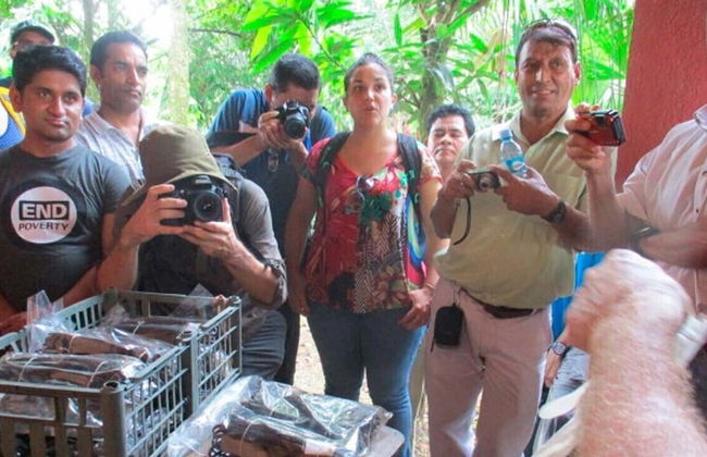 Vanilla Jungle Lodge - Bed & Breakfast - Foto 14