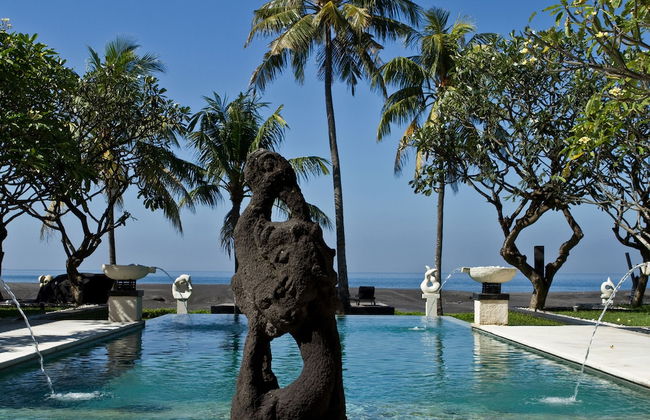 The Ylang Ylang - Foto 12