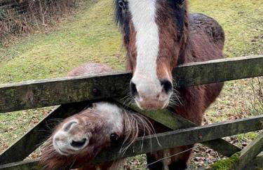 Sausage Cottage in Oakford Village 4 Bed Garden Local Pub - Foto 11