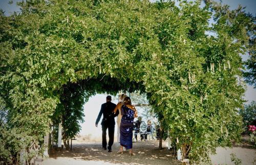 St Helena - Blair Spangler Design Group - Foto 16