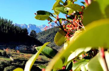 La Riega Del Peral - Foto 22