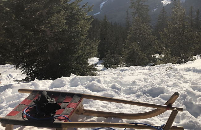 Haus Schönberg - Foto 46