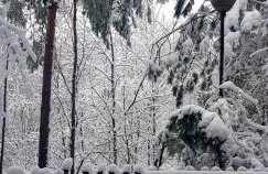 DOMEK LETNISKOWY MYSCÓWKA - Foto 37