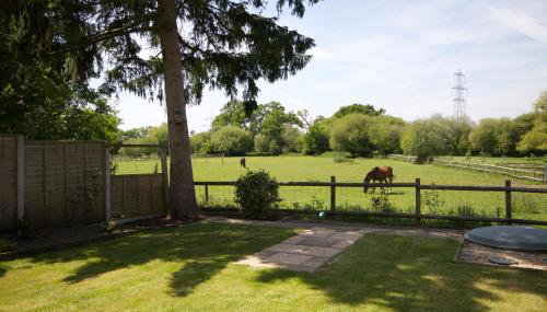 Avondale New Forest - Foto 2, Garden, Garden view