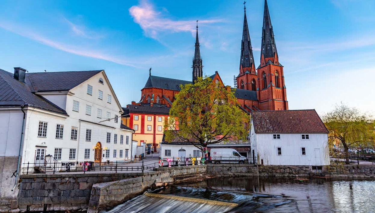 Visite privée dans Uppsala - Photo 1