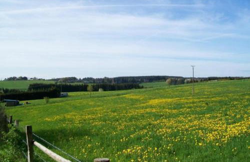 Hellenthal Family Retreat - Photo 66