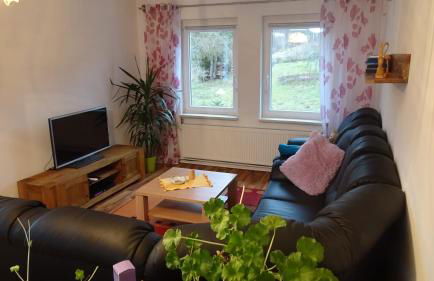 Ferienwohnung Erzgebirgswohnung Götze - Foto 31