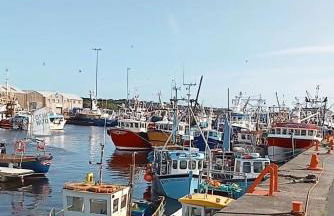 Mountain View Shepherds Hut - Foto 38