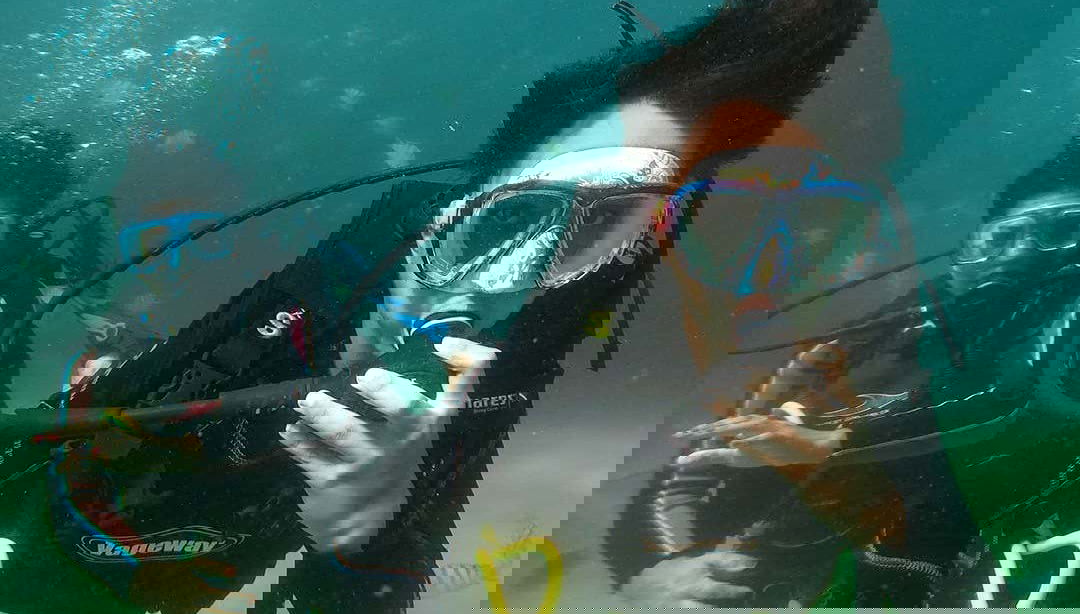 Beginners Scuba Diving - Foto 1