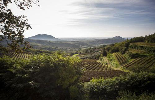 Agriturismo Le Volpi - Photo 48