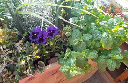 Maison An Ty Göal - Foto 37