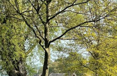 Gästehaus Mäder am Hafen - Foto 26