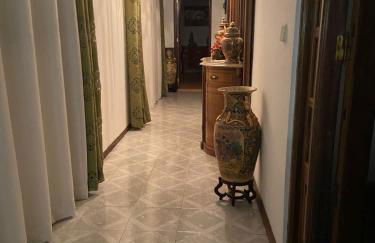 Cacho D'ouro - Photo 7