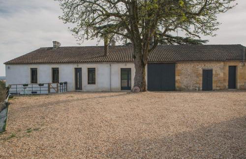 Villa Korum - Foto 11