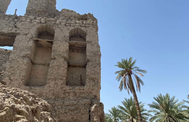Tour en buggy vintage por Al Aqr - Foto 5