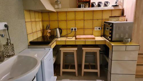 Leśny Zakątek Lipinki Bory Tucholskie - sauna - Foto 5, minibar