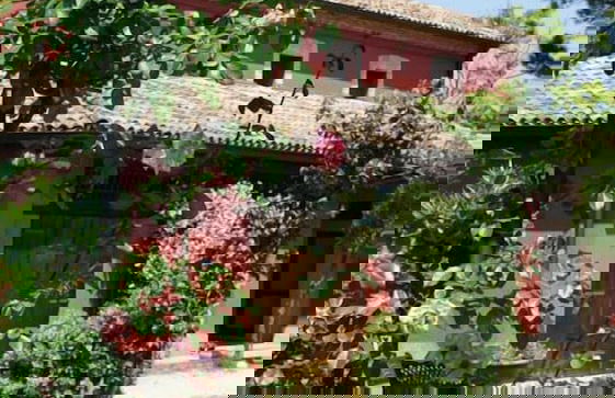 Agriturismo Case Mori - Foto 53