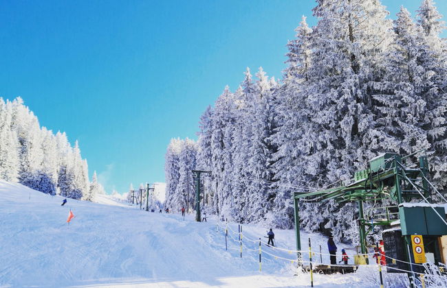 Lilo/Studio - Foto 22