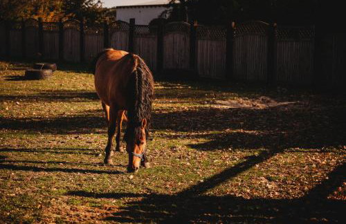 Apartament z wanną wolnostojącą - Foto 25