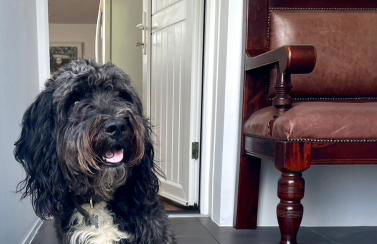 Barn Cottage -Westerlands - Foto 27