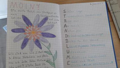 Ferienhaus Strandblume - Foto 4