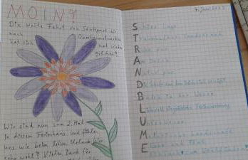 Ferienhaus Strandblume - Foto 4