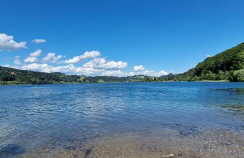 Allgäuer Ausblick - Foto 73