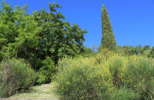 Villa Porsenna - Foto 33