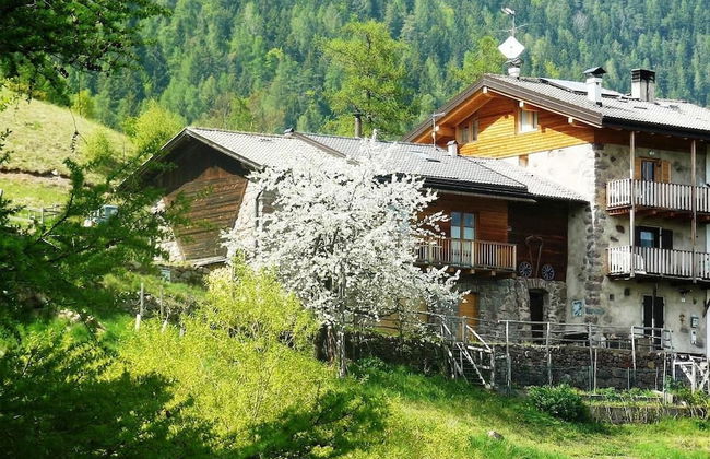 Baita Cavecia - Photo 21