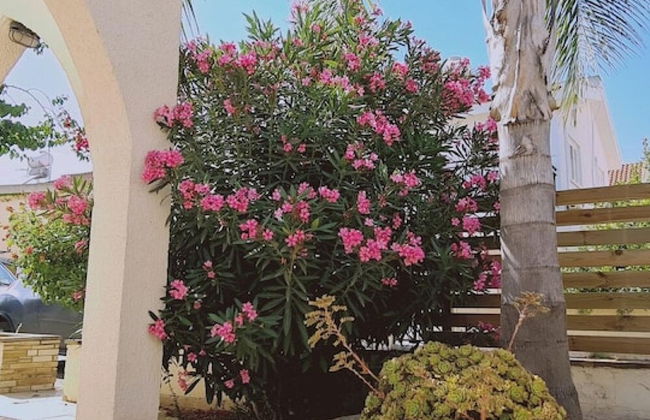 15 ATH - Swallow s Nest Villa - Foto 48