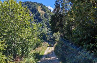 Wellness Snow Loft - Sauna privata & Vista Monti- Vicino alle piste - Prato Nevoso - Foto 19