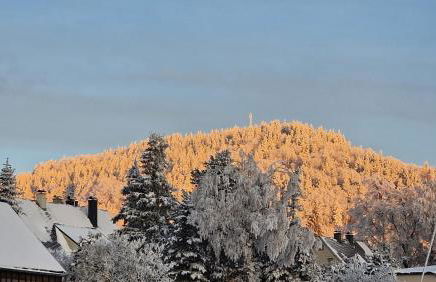 Fewo Peter Erholungsort Bärenstein - Foto 33