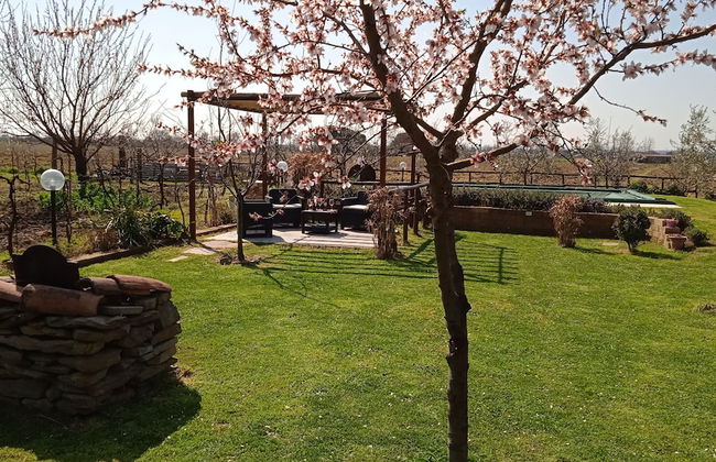 Country House Podere Casorbica - Photo 52