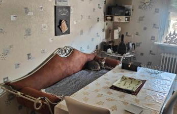 Studio Cosy proche Strasbourg - Foto 4