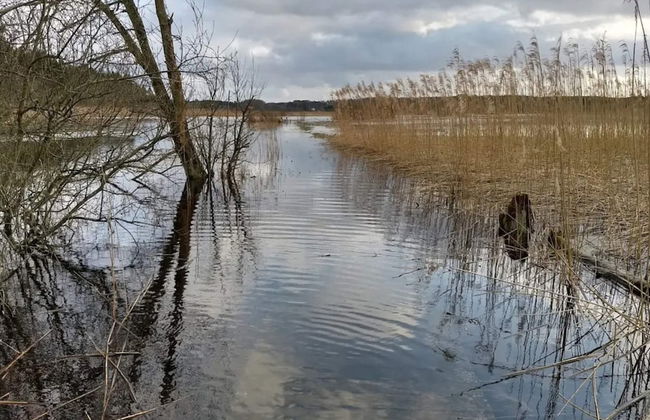 6 Person Holiday Home in Silkeborg - Foto 32