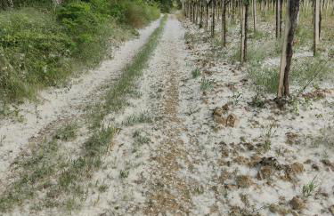 La nostra Casetta - Foto 24