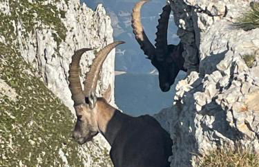 Confortable appartement rénové centre Villard de Lans - Foto 26