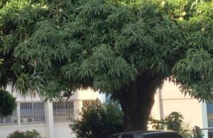 Apartamento em Vila Velha - Foto 28