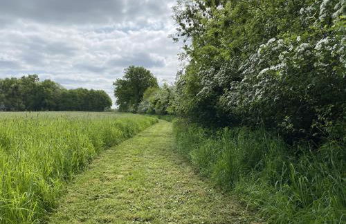 Ferienhäuser Weitblick - Photo 28