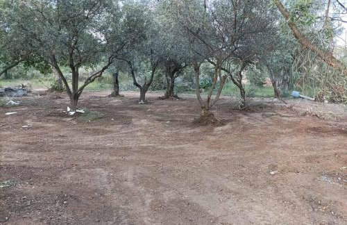 KTIMA ALEXANDROS - Photo 14