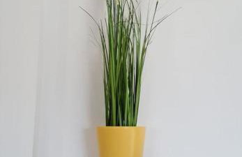 Apartment Sime - Foto 37