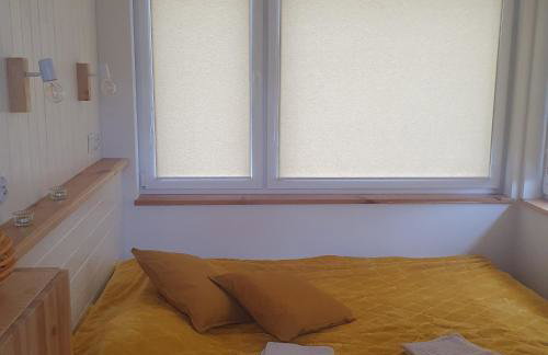 Bujanie w sitowiu - Foto 39