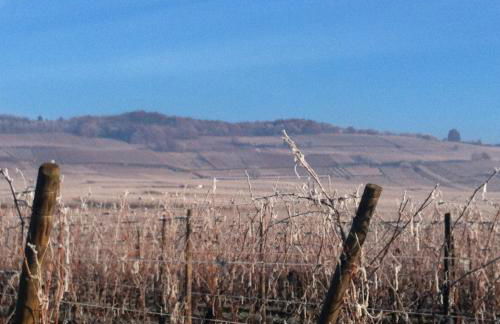 Gîte chez "Mamie Schlop" - Foto 62