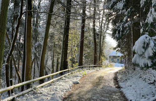 Drovers Retreat - Photo 15