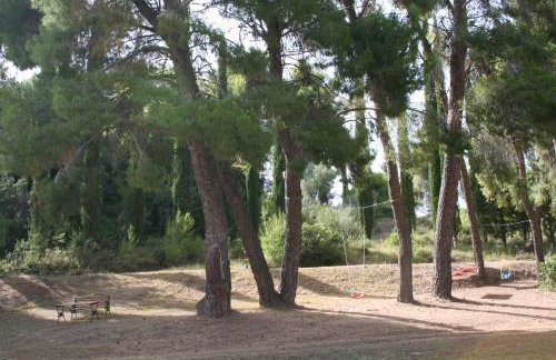 Terry Land Village - Foto 26