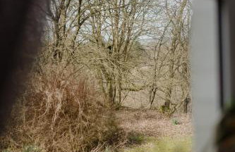 Cozy Cairnwell Farm Cottage - Foto 68