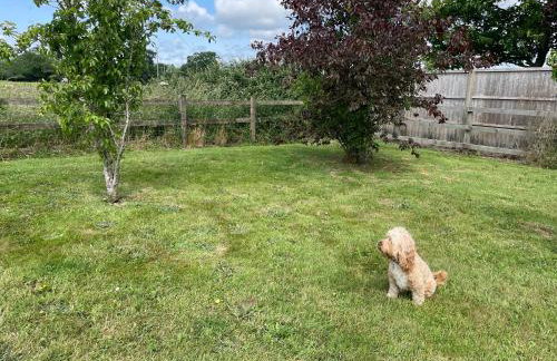 Swallows Retreat - Foto 6