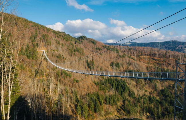 Huis Hochfirst Appartement 20 - Foto 15