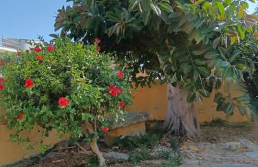 VILLA KAMA - Foto 15