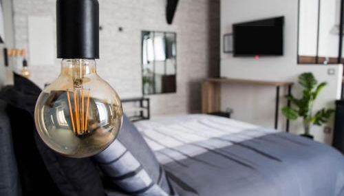 Beau studio STYLE INDUSTRIEL - Foto 3